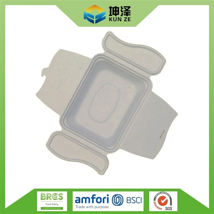 Hinged Lunch Box