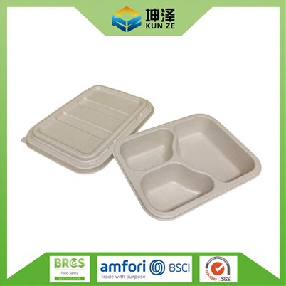 Поднос для еды на 3 куб.см с крышкой